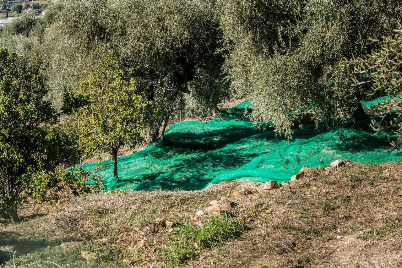 Le Raganelle Hotel Oneglia Kültér fotó